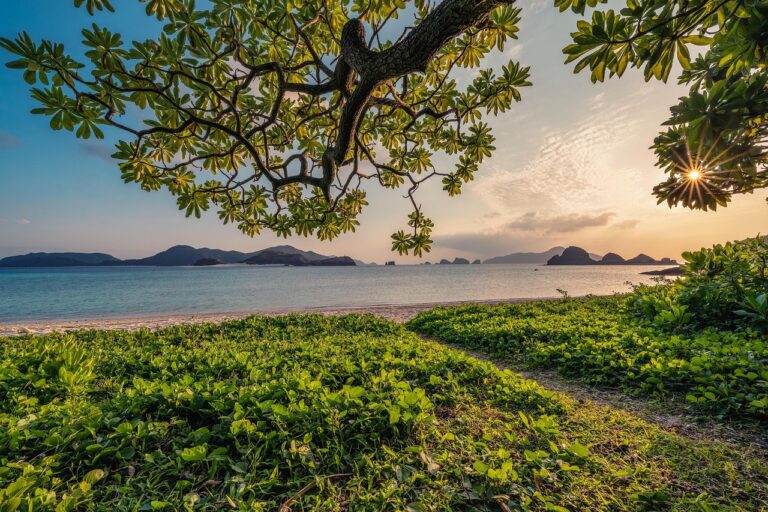 sunset, beautiful nature, sand, beach, islands, nature background, leaf, subtropical, nature, okinawa, japan, landscape, hd wallpapers, hd wallpaper, nature wallpaper